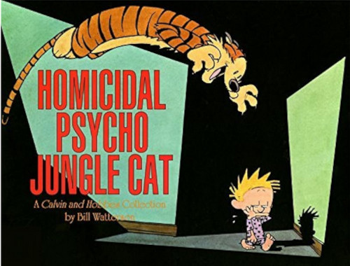Calvin and Hobbes
